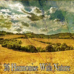 隱藏在自然的和平中