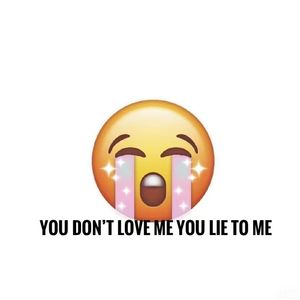 You don't luv me You lie to me（骗我说你不爱我）