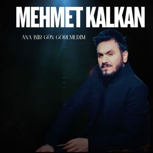 Ana Bir Gün Göremedim