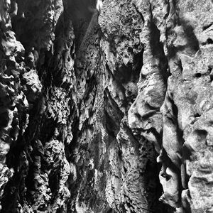 漫游者的不完备情愫定律