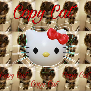 Copy Cat