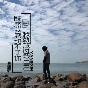 放过自己（Remix）