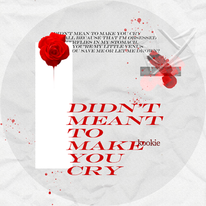 Didn't Mean To Make You Cry(Prod. Furyl, 4_Chords)