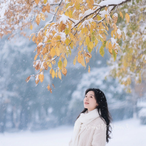 秋风知我情冬雪知我意