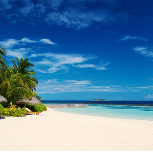 秋后知秋烟雨人间9