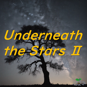 Undemeath the Stars Ⅱ