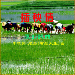 插秧情（原唱版） 伴奏