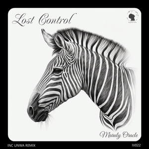 Lost Control (Original Mix)