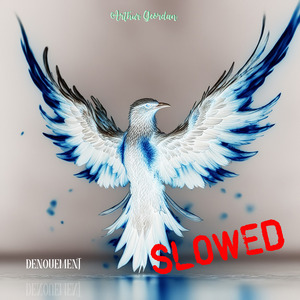 Denouement (Yes, I told you) Slowed (Remix)