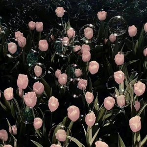 让风告诉你（吉他弹唱版）