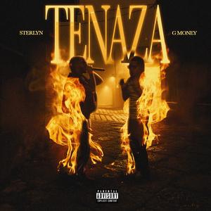 TENAZA
