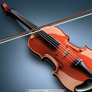 王量-梦里花（一本正经的太理器乐队 Remix）