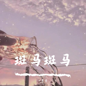 斑马斑马（翻自 宋冬野）