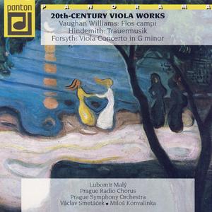 Concerto for Viola and Orchestra in G minor: I. Moderato. Con moto agitato