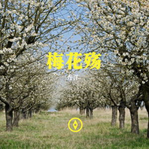 梅花殇