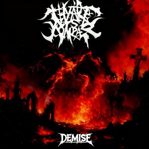 Demise（Instrument）