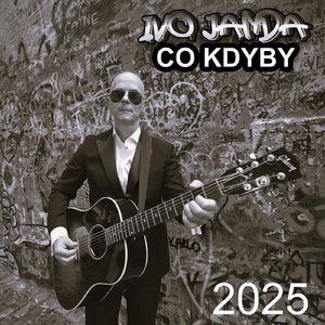Pouliční Muzikant