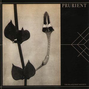 Months Lengthening into Years