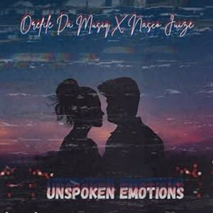 Unspoken Emotions
