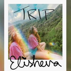 Trip