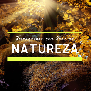 Sons da Natureza para Relaxar, Pt. 04