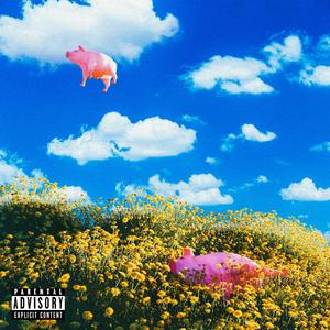 凌晨临时起意从文星去看日出