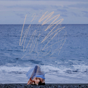 夏の魚は長い夢を見る