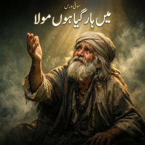 Main Har Gaya Hoon Maula (Sufi Verse)