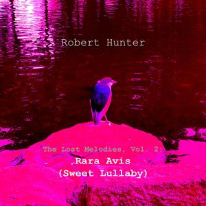 Rara Avis (Sweet Lullaby) (Radio Edit)