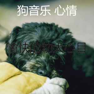 温和训练你的狗梦想
