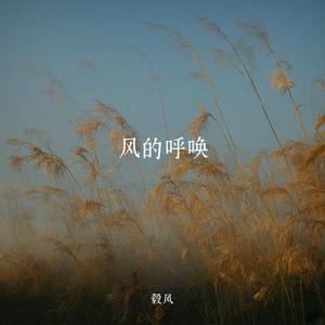 风的呼唤