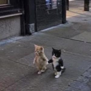 déçue