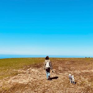 집에 가자 (feat. Y)