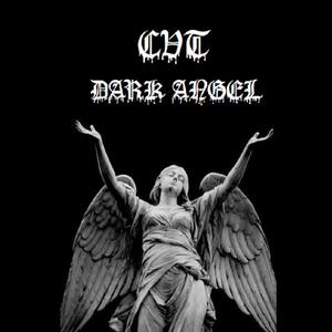 CVT (feat. Catvlyst & YSZ)
