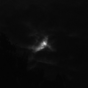 Iwan Ttoki Llmyse Lf