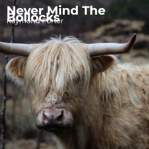 Never Mind The Bollocks