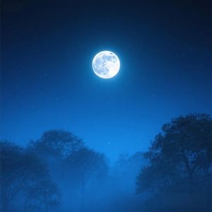 春风细语绕青丝