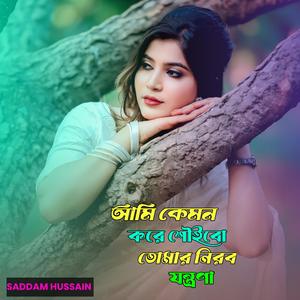 আমি কেমন করে শৌইবো তোমার নিরব যন্ত্রণা।