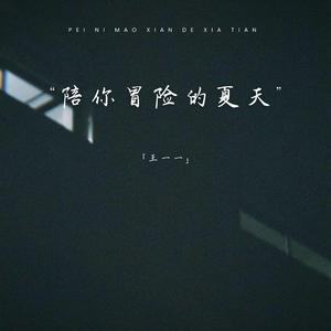 陪你冒险的夏天