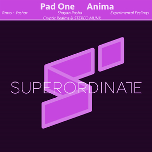 Anima (Experimental Feelings Rmx)