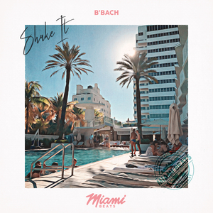 Shake It (Original Mix)