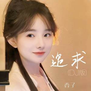 追求 (DJ版)