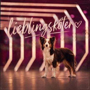 lieblingsköter