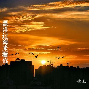 漂洋过海来看你