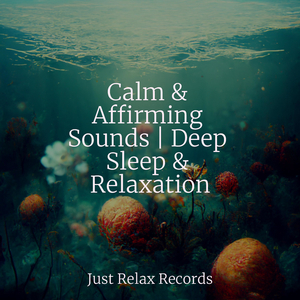 Misty Sanctuary's Lament