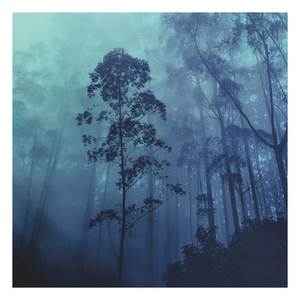 Distant Recollections