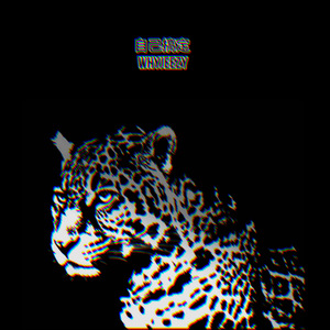 自己搞定（Prod By TrapGo）