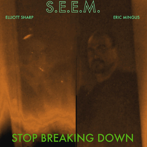Stop Breaking Down (feat. Elliott Sharp & Eric Mingus)