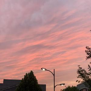 我要你 （节奏版）