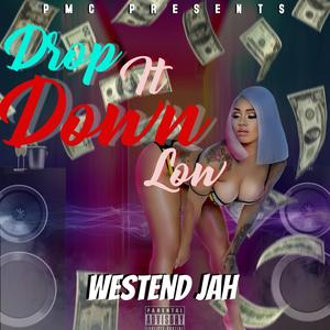 Drop It Down Low